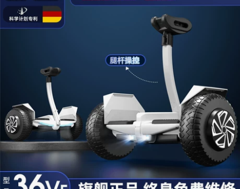 德国ZOLA官方旗舰店2023新款平衡车智...