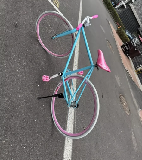 自行车成人倒刹固齿极简约女式 感兴趣的话点...