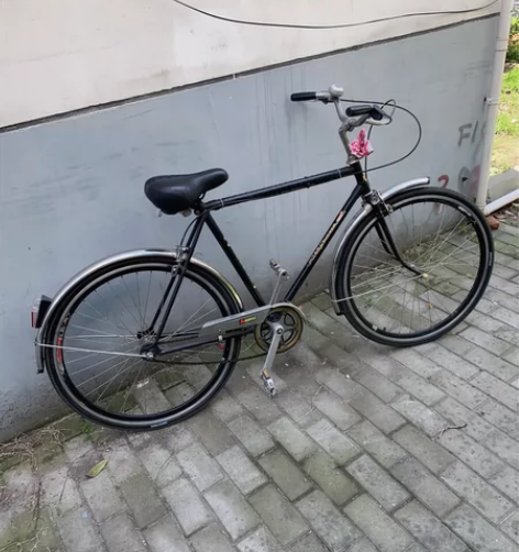 老永久自行车 大家好，谢谢。￥370