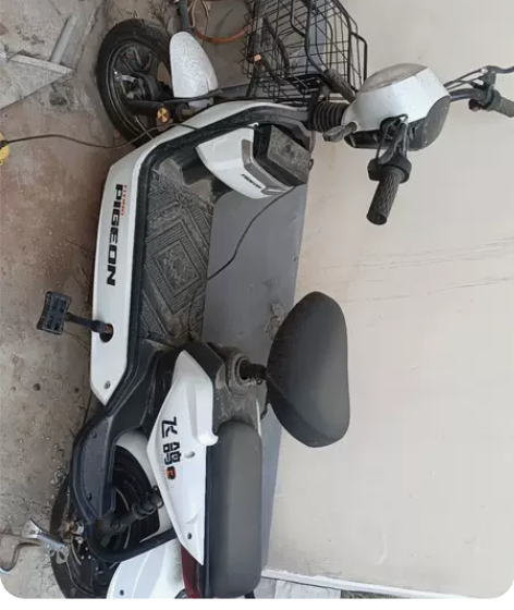 飞鸽电动自行车，骑行没超过十次，总闲置在看...