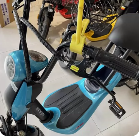 21年9月购入的捷安特48 V锂电池电动车...