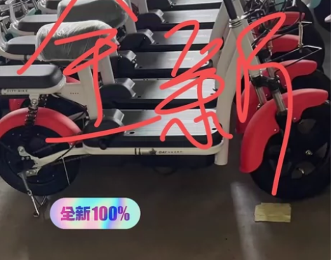 【实体清仓处理】全新新国标电动车爱玛小牛电...