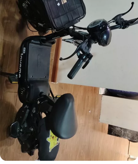 绿源电动车48v，脚踏带脚蹬，符合国标标准...