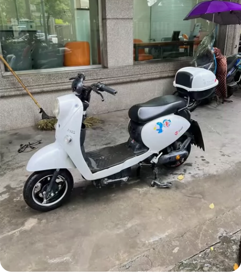 上新九成新绿源新国标ZFA 黄牌永久骑行 ...