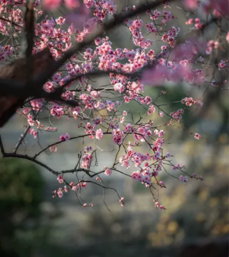 低价出售大疆级航拍无人机8K专业高清折叠飞...