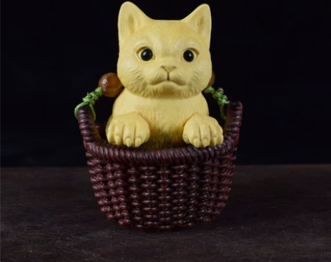 大叶黄杨 篮小猫    生日礼物   送礼...