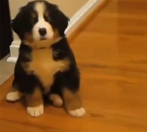 收！注意是收！！！！ 新用户 番茄小说（￥...