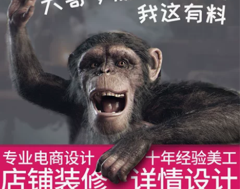 详情页面装修产品拍摄网店首页海报全套定制