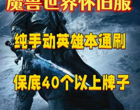 魔兽代练wow魔兽世界怀旧服wlk12H英...