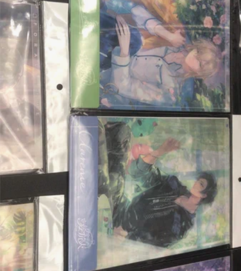 正版 时空中的绘旅人  520系列 光栅卡...