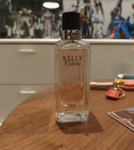 爱马仕凯莉驿马车edt100ml余量如图 ...