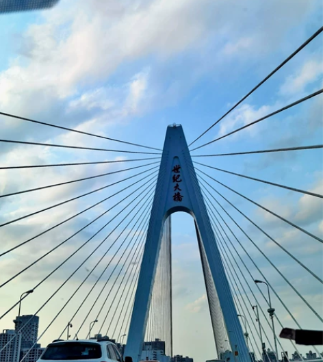 佛系卖考研资料，学科教学生物 普通生物学+...