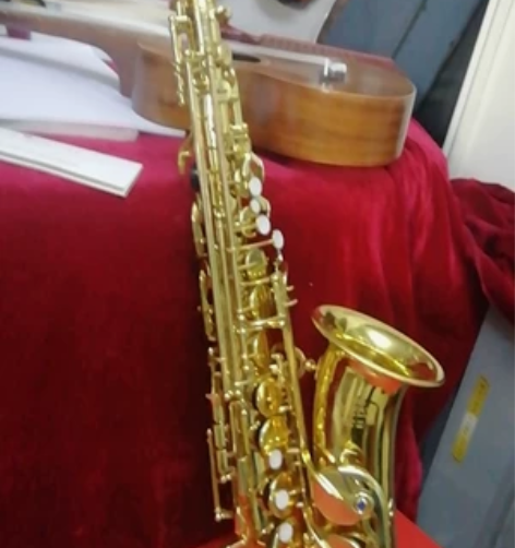 出租乐器大提琴小提琴二胡琵琶萨克斯黑管长笛...