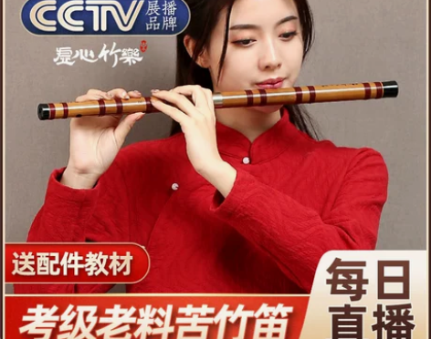 笛子零基础竹笛专业演奏级初学者精制乐器女古...