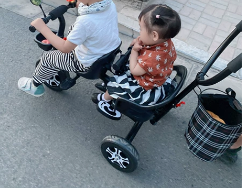 双人三轮车 二胎神器 95新 感兴趣的话点...