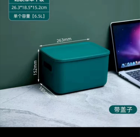 全新禧天龙6.5升把手收纳盒北欧绿色五个一...