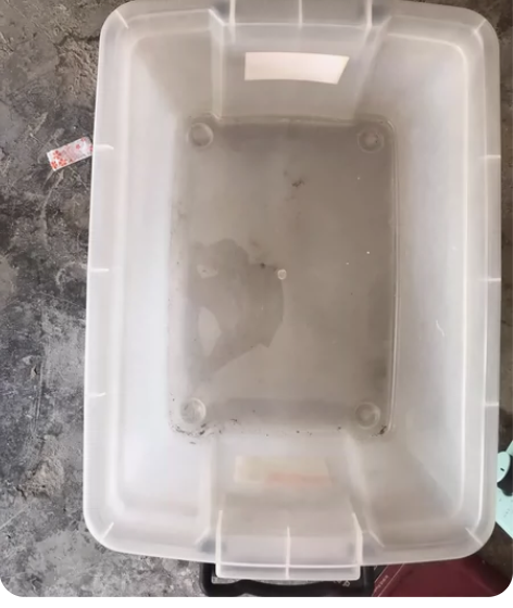 禧天龙整理箱 一直长期闲置在仓库 网上一个...