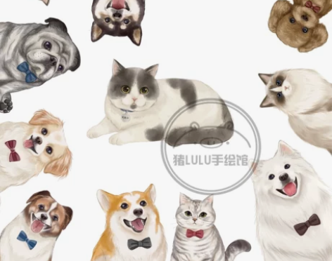 手绘宠物头像 手绘宠物写实绘制Q版头像漫画...