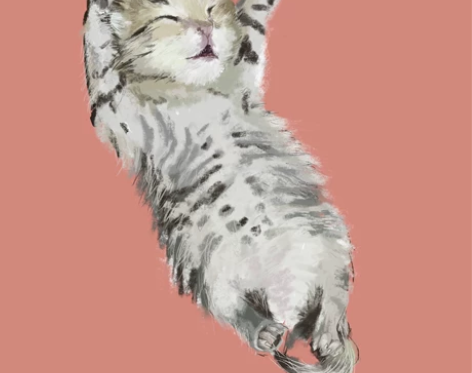 宠物手绘 感兴趣的话点“我想要”和我私聊吧...