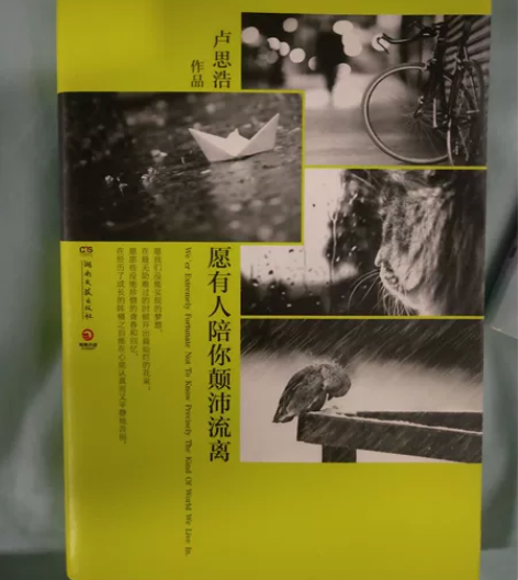 【当当网 正版书籍】愿有人陪你颠沛流离 卢...