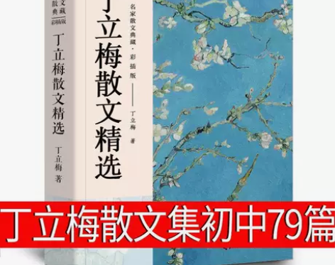 丁立梅的书精选丁立梅散文集初中79篇全套经...