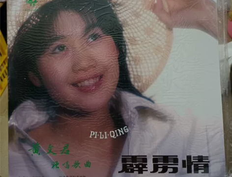 黄文君 霹雳情 （稀缺品）全新未拆封黑胶L...