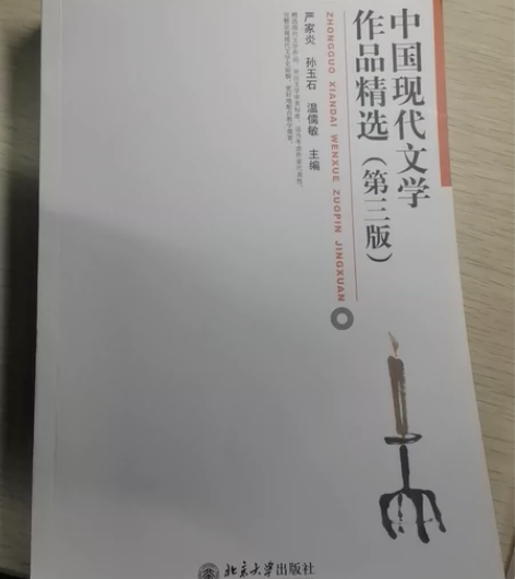 中国现代文学作品精选（第三版）严家炎 孙玉...