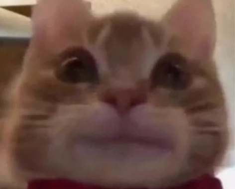 售腾讯视频年卡 代充 年卡193 超低价 ...