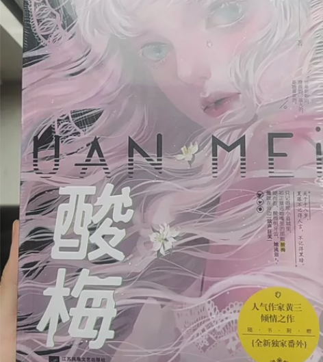 全新未拆封 青春校园系 小说酸梅 新华书店...