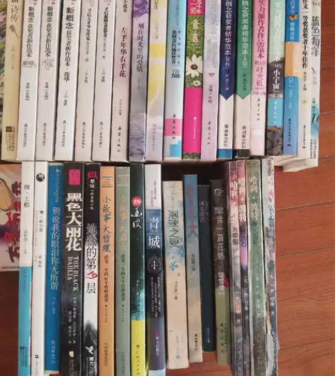 闲置小说 散文 校园青春文学 买回来几乎没...