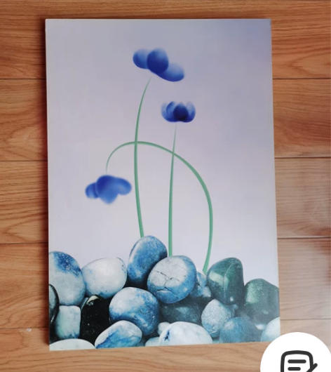 简约无框画50*35cm 感兴趣的话点“我...