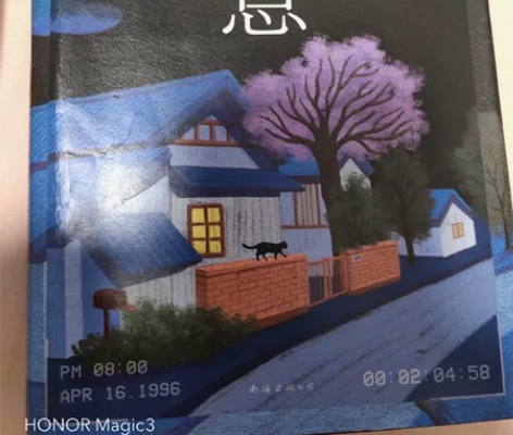 东野圭吾的侦探小说，《恶意》，《红手指》，...