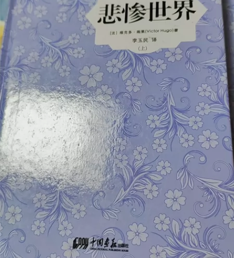 悲惨世界共两本，有使用痕迹，有勾画。 感兴...