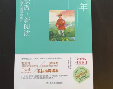 新课标版高尔基《童年》 感兴趣的话点“我想...