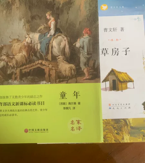 童年 高尔基 10 草房子 曹文轩 10 ...