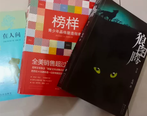 便宜出(榜样青少年品格塑造指南 狼图腾-修...