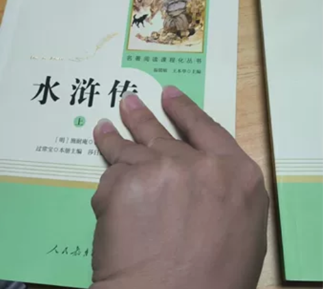 水浒传上册看过做过标记，下册没看过，基本全...