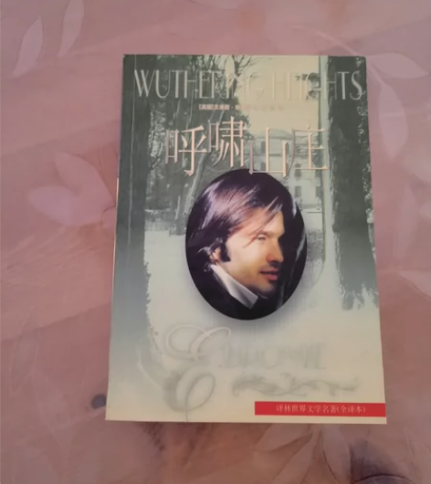 呼啸山庄 全新 不刀 不包邮 不退换  下...