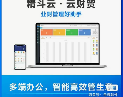 金蝶精斗云 云财贸 云会计:凭证、账簿、报...