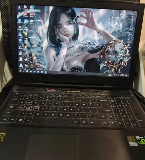 机械革命x6ti,i5处理器,8g内存,1...
