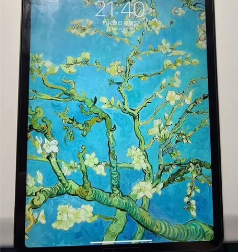 急用钱出ipad2021款256g平板，买...