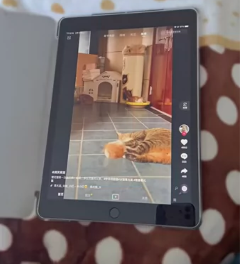 【含泪出】Apple/苹果新款 iPad6...