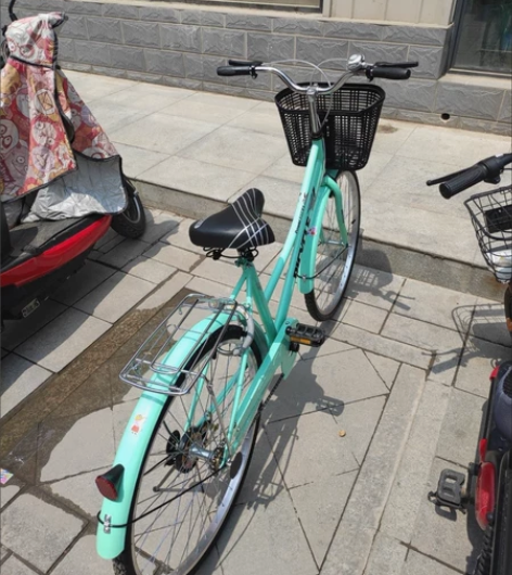 亏本出永久飞鸽同款自行车学生成人男女轻便通...