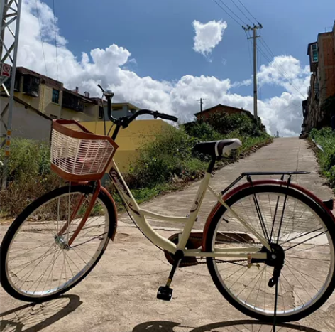 急售，全新的自行车成人女式成年普通通勤单车...