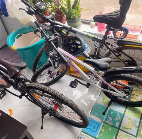 喜德盛旭日300自行车自提 感兴趣的话点“...