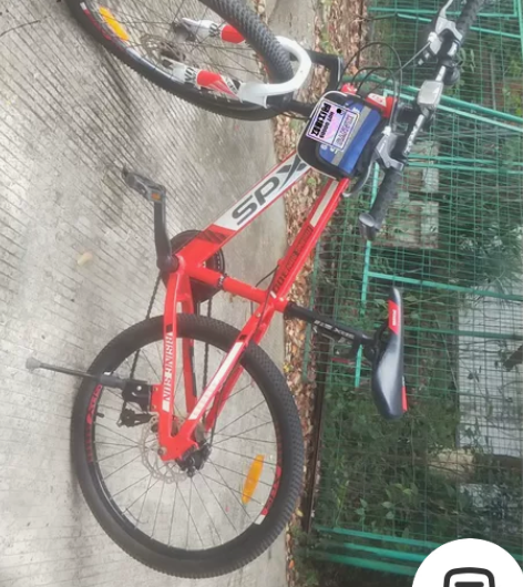 湖南益阳喜德盛旭日300烈焰配色自行车，没...