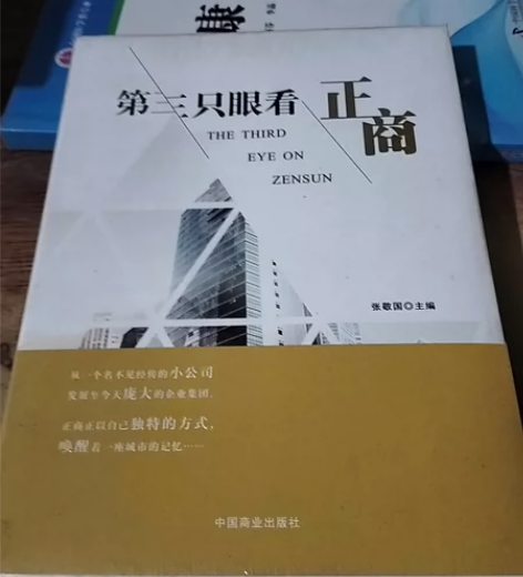 二手正版 第三只眼看正商中国商业出版社，9...