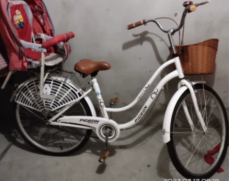 飞鸽自行车，充气胎，去年买的骑了三四次，孩...