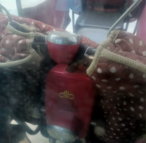 飞鸽牌老年电动车，车子有三年了 ！基本上没...