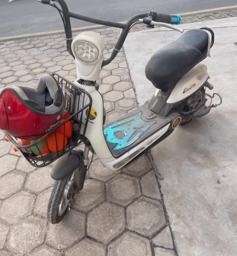 飞鸽电动车 三年没骑 需要重新换电瓶 没有充电器 看好再问 ...